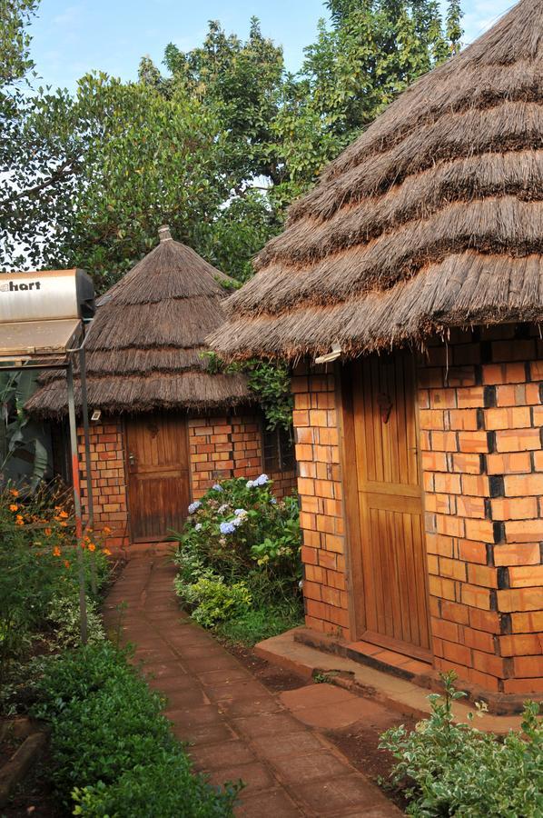 New Court View Hotel Masindi エクステリア 写真